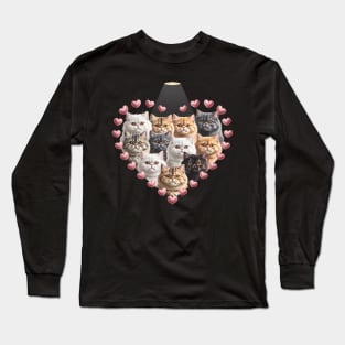 Valentine's Day British Longhair cat Heart Long Sleeve T-Shirt